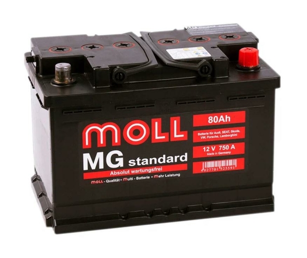 Moll Standard MG 6CT-80R